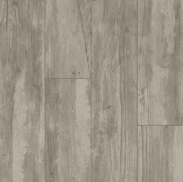 Woodland Fusion Fossil