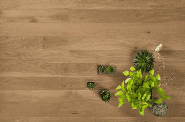 COSWICK CLASSIC COLLECTION RAW SIENNA