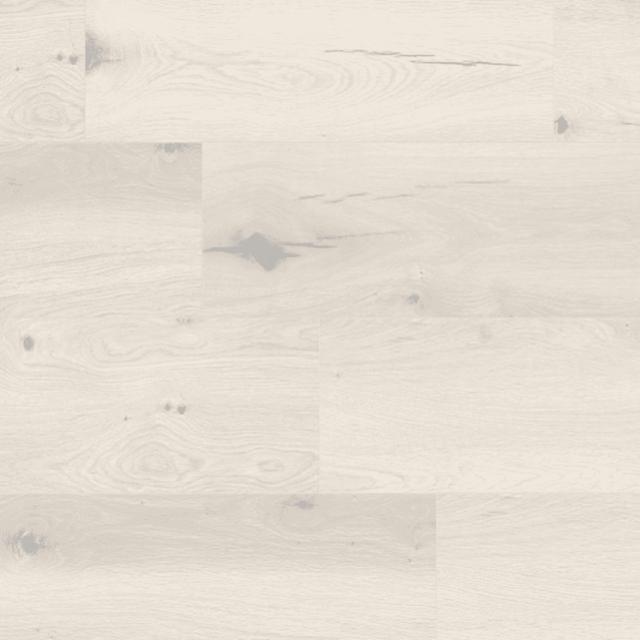 Eurostyle Eurotrend Wide Body Collection Gossamer Oak Wide Body Laminate Flooring