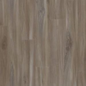 Vinyl flooring timeless Explorers Cove Collection Dolphin colorz