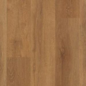 Vinyl flooring timeless Explorers Cove Collection Stormy Sands colorz