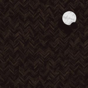 Laminate flooring timeless Moods collection Chevron 103 colorz