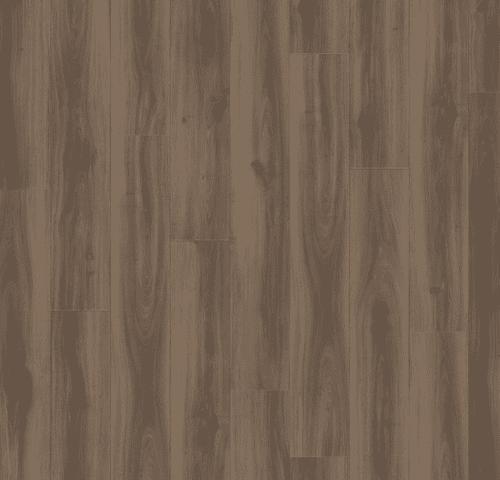 Vinyl Moduleo Select Collection Classic Oak 24864