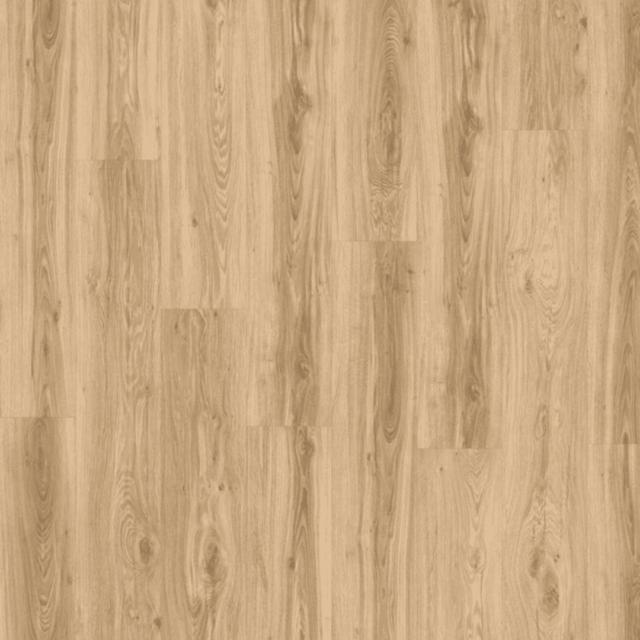 Moduleo Transform Collection Blackjack Oak 22220