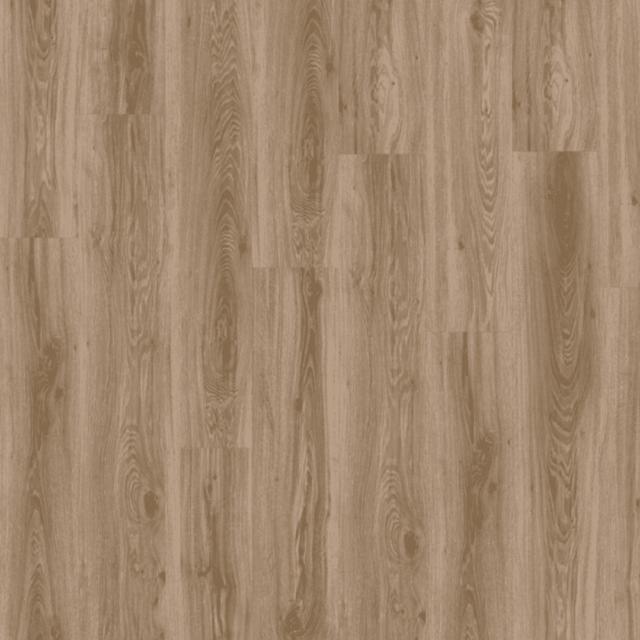 Moduleo Transform Collection Blackjack Oak 22229