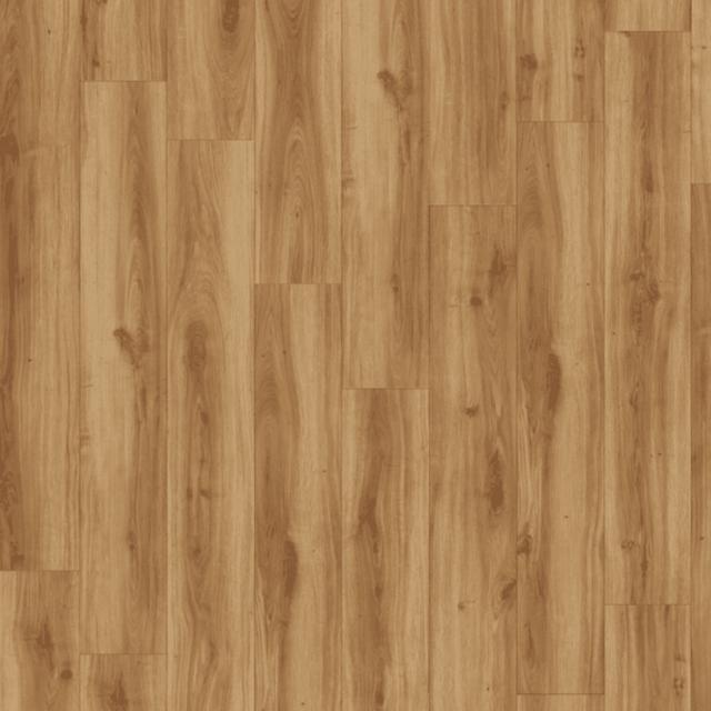 Moduleo Transform Collection Classic Oak 24235