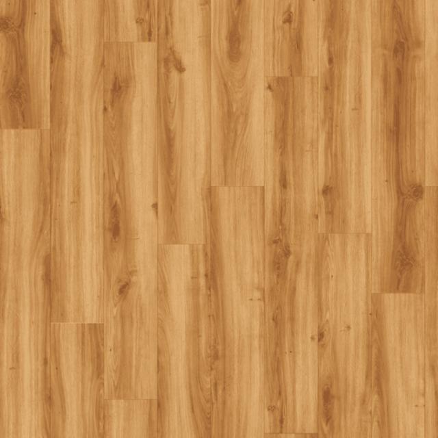 Moduleo Transform Collection Classic Oak 24438