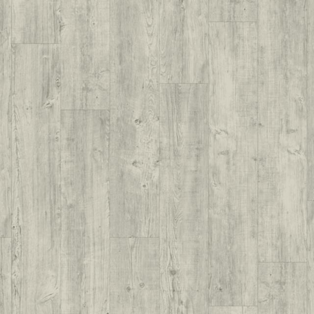 Moduleo Transform Collection Latin Pine 24242