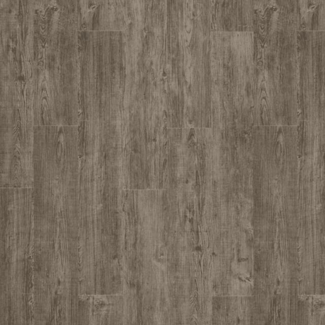 Moduleo Transform Collection Latin Pine 24868