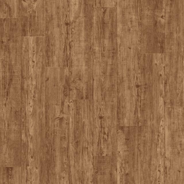 Moduleo Transform Collection Latin Pine 24874