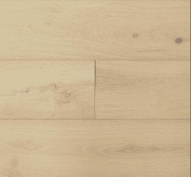 PRAVADA CANVAS COLLECTION GENRE