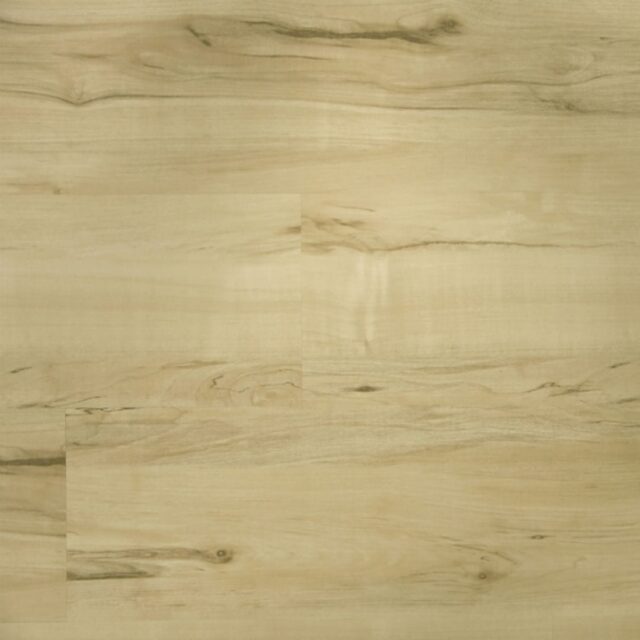 SPC 23400 Olive Garden