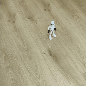 Laminate flooring timeless Endura collection Autumn-Oak colorz