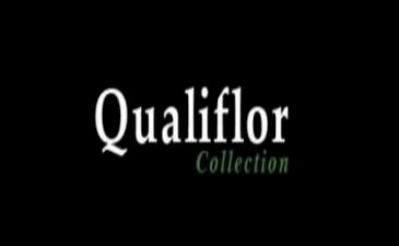 Qualiflor-hardwood-chinese-removebg-preview