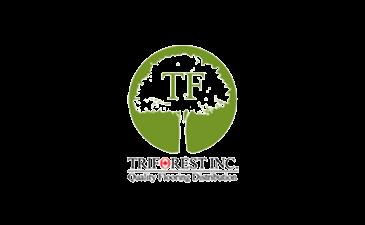 TRIFORESTlogo-removebg-preview