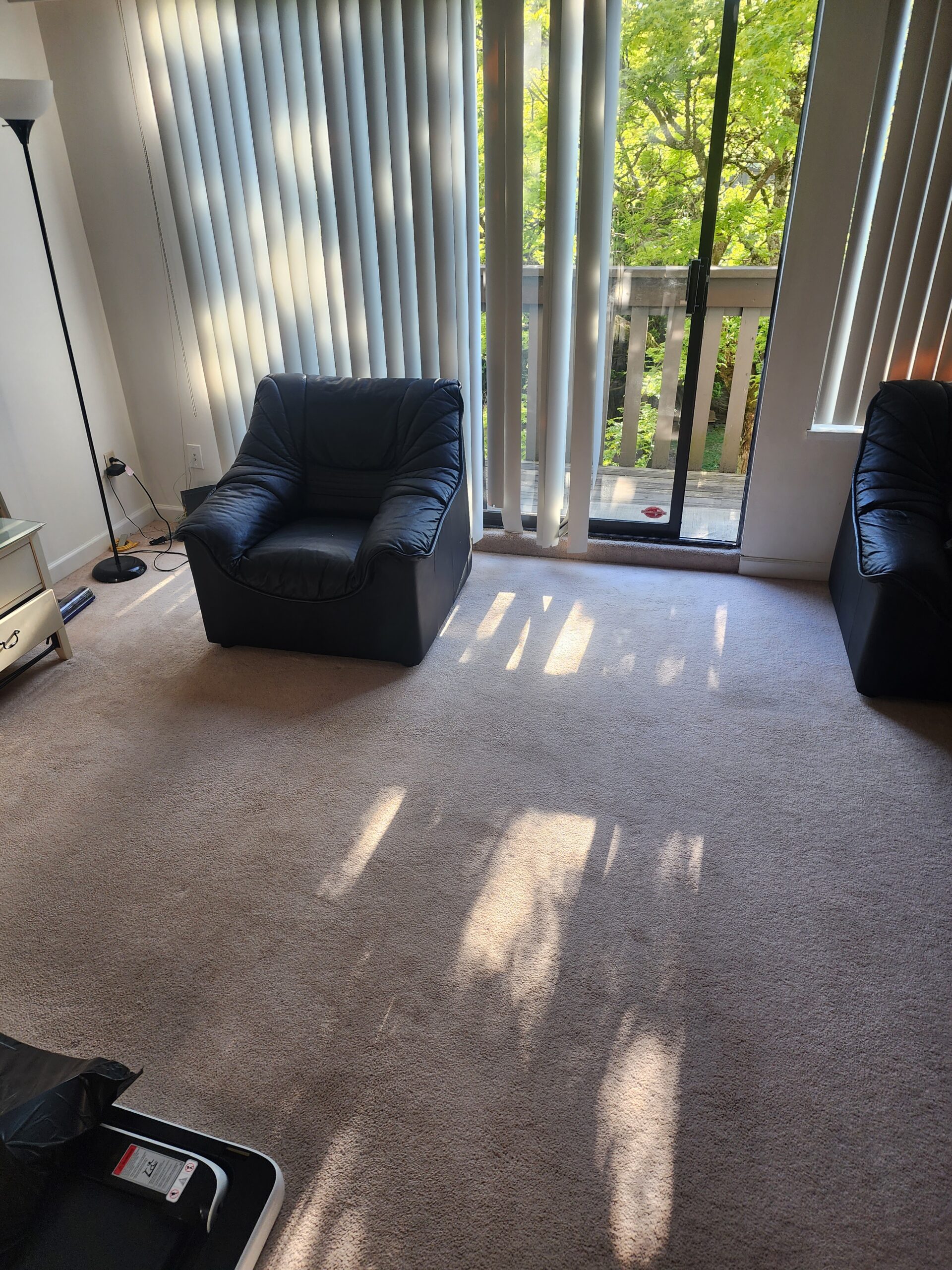 living-room-before2 before vinyl installation