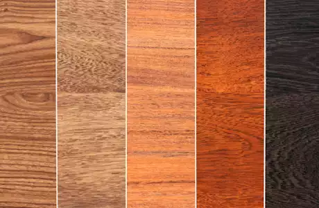 Wood Flooring Species: Embracing Canadian and Global Choices